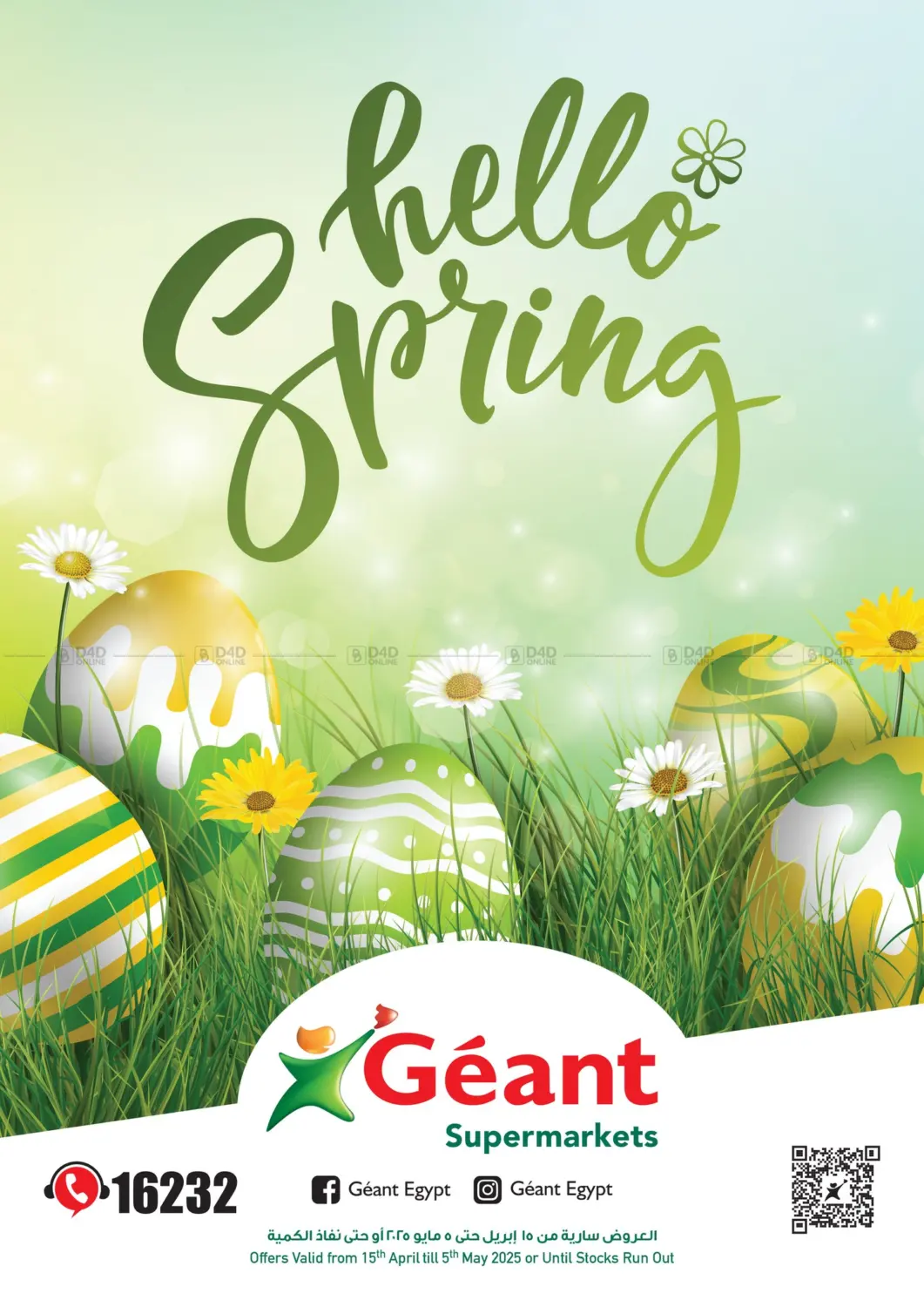 صفحة رقم 1 من Hello Spring في جيان مصر