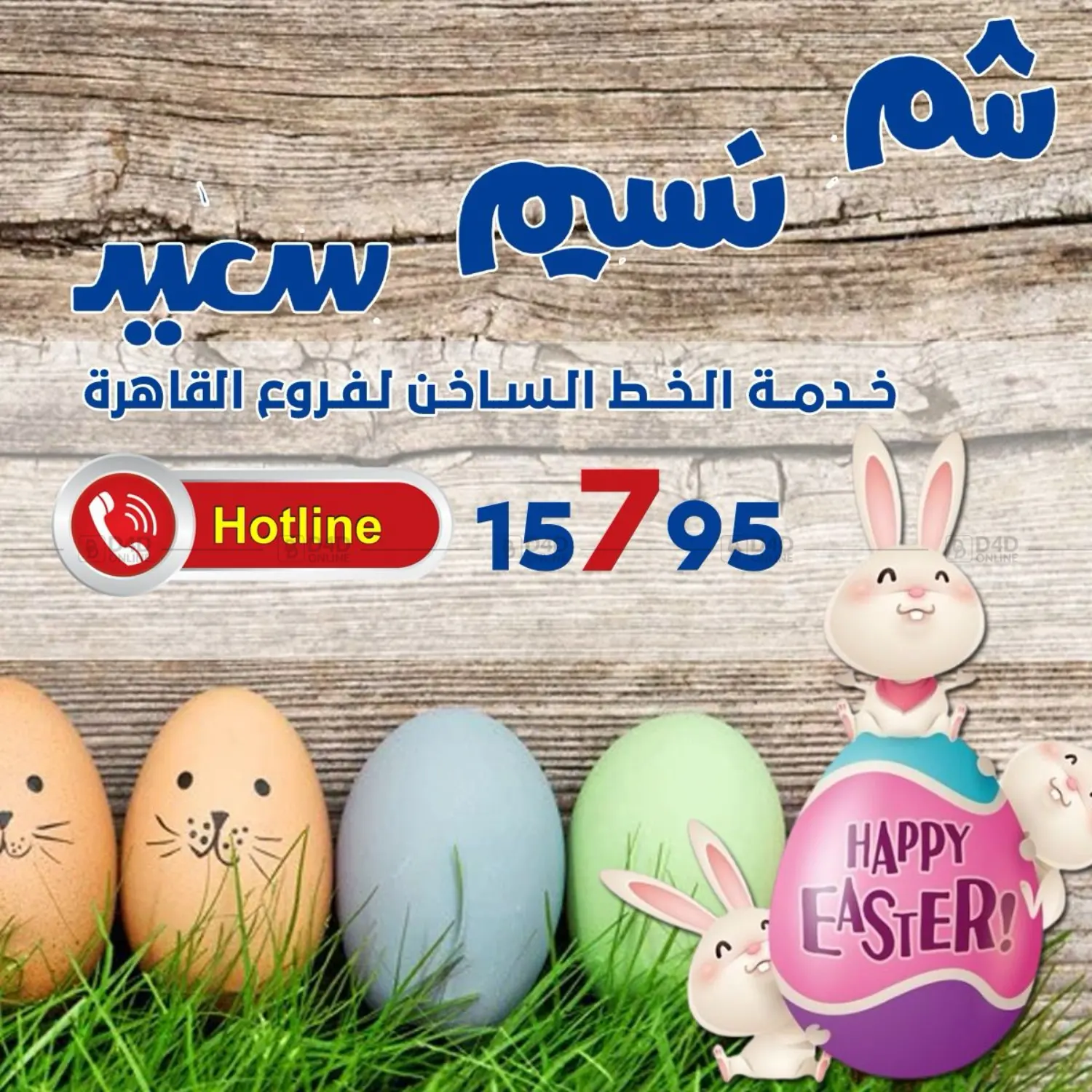 صفحة رقم 2 من Special Offer في باسم ماركت
