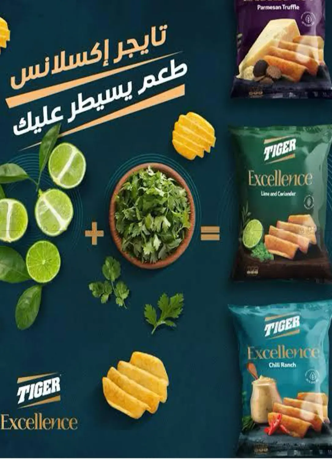 صفحة رقم 17 من Special Offer في باسم ماركت