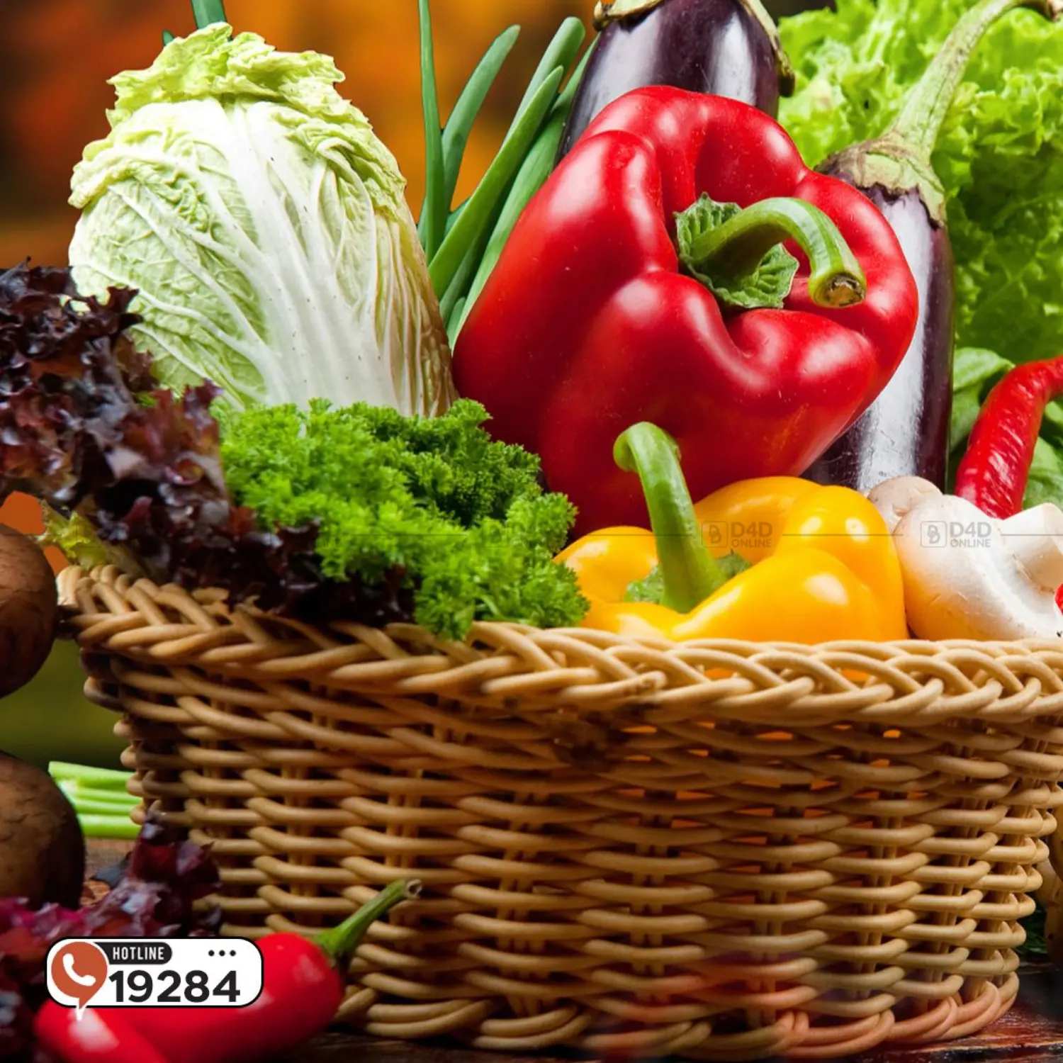 صفحة رقم 1 من Special Offer في عرفة ماركت