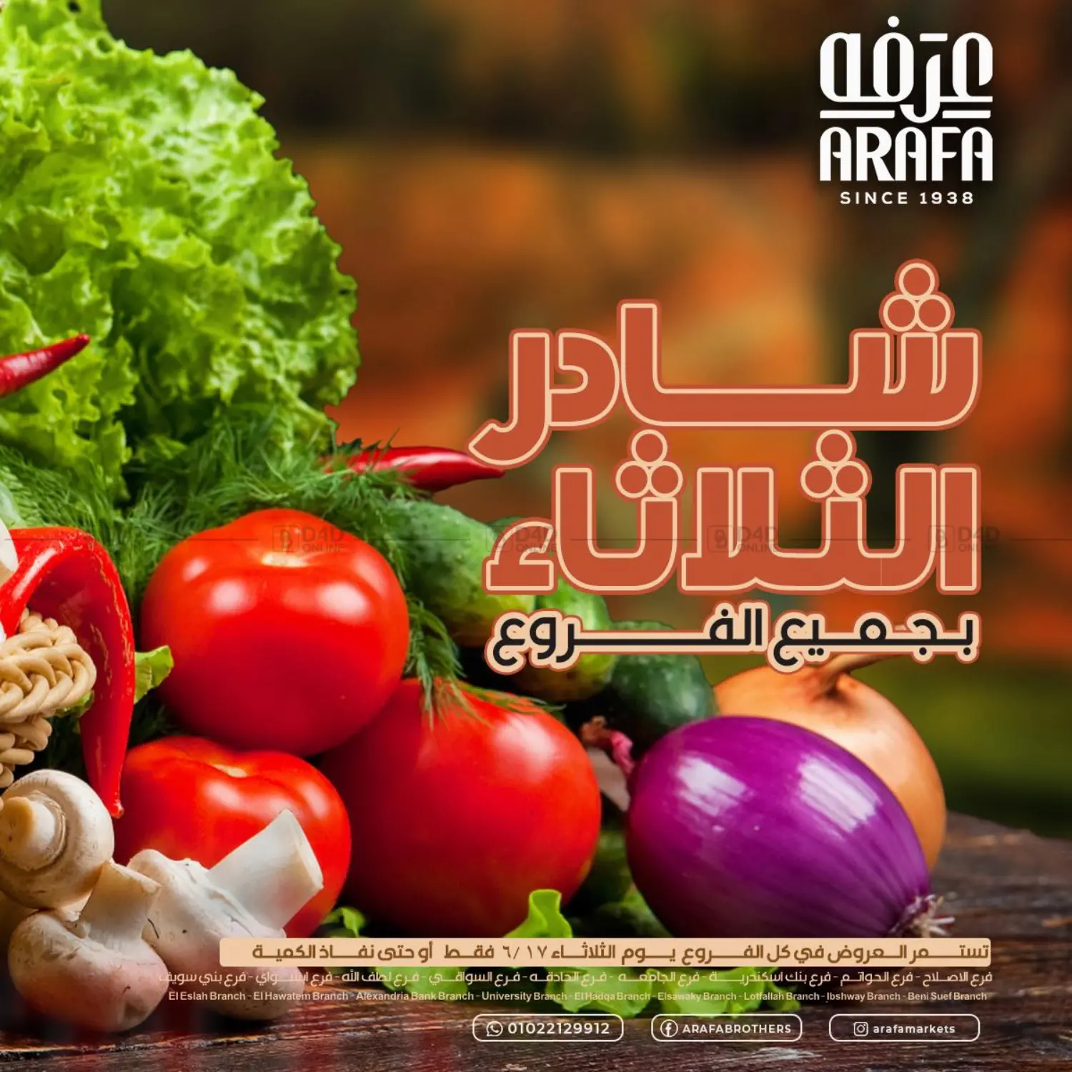 صفحة رقم 2 من Special Offer في عرفة ماركت