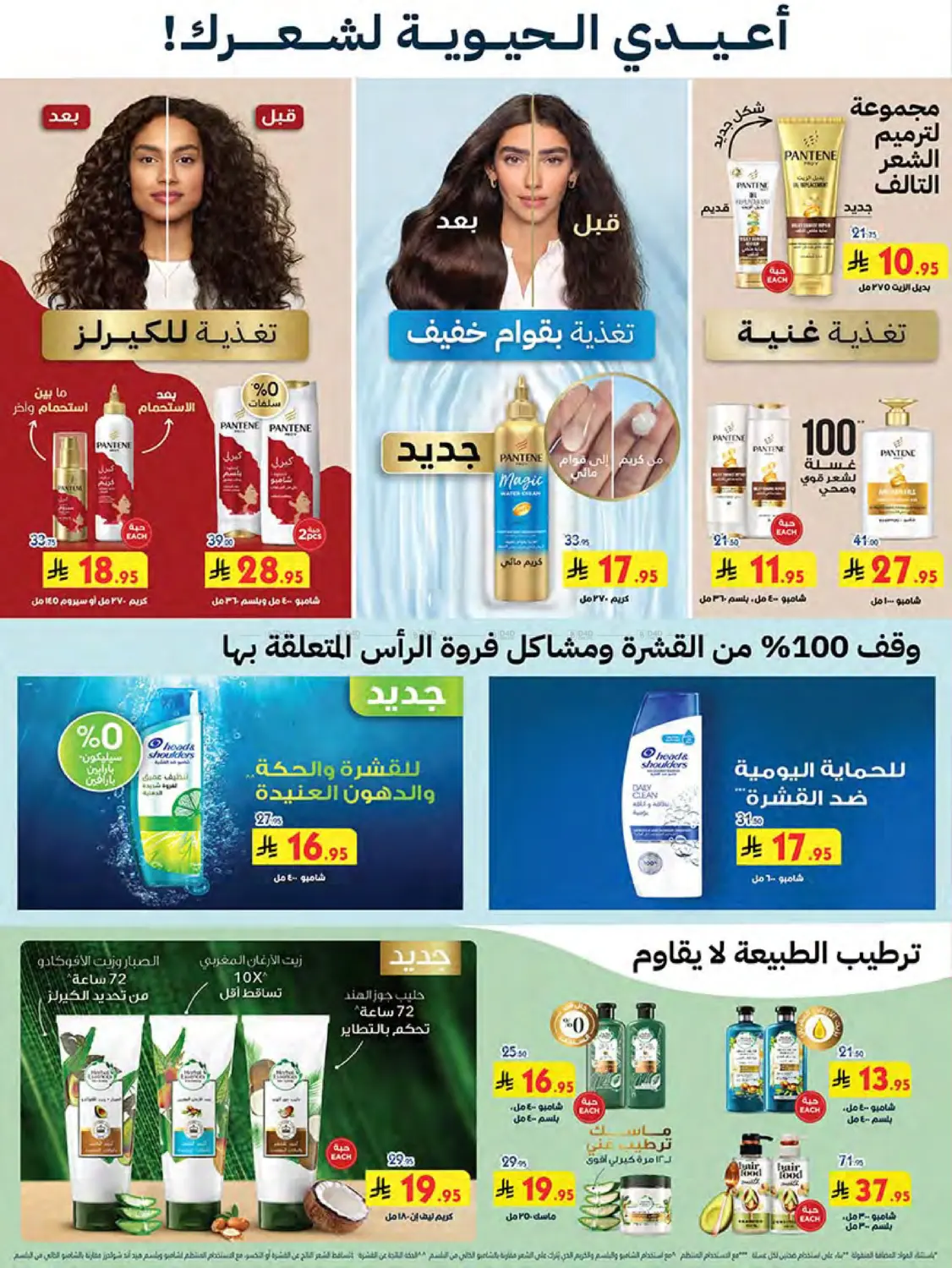 صفحة رقم 51 من Summer Offer في بن داود