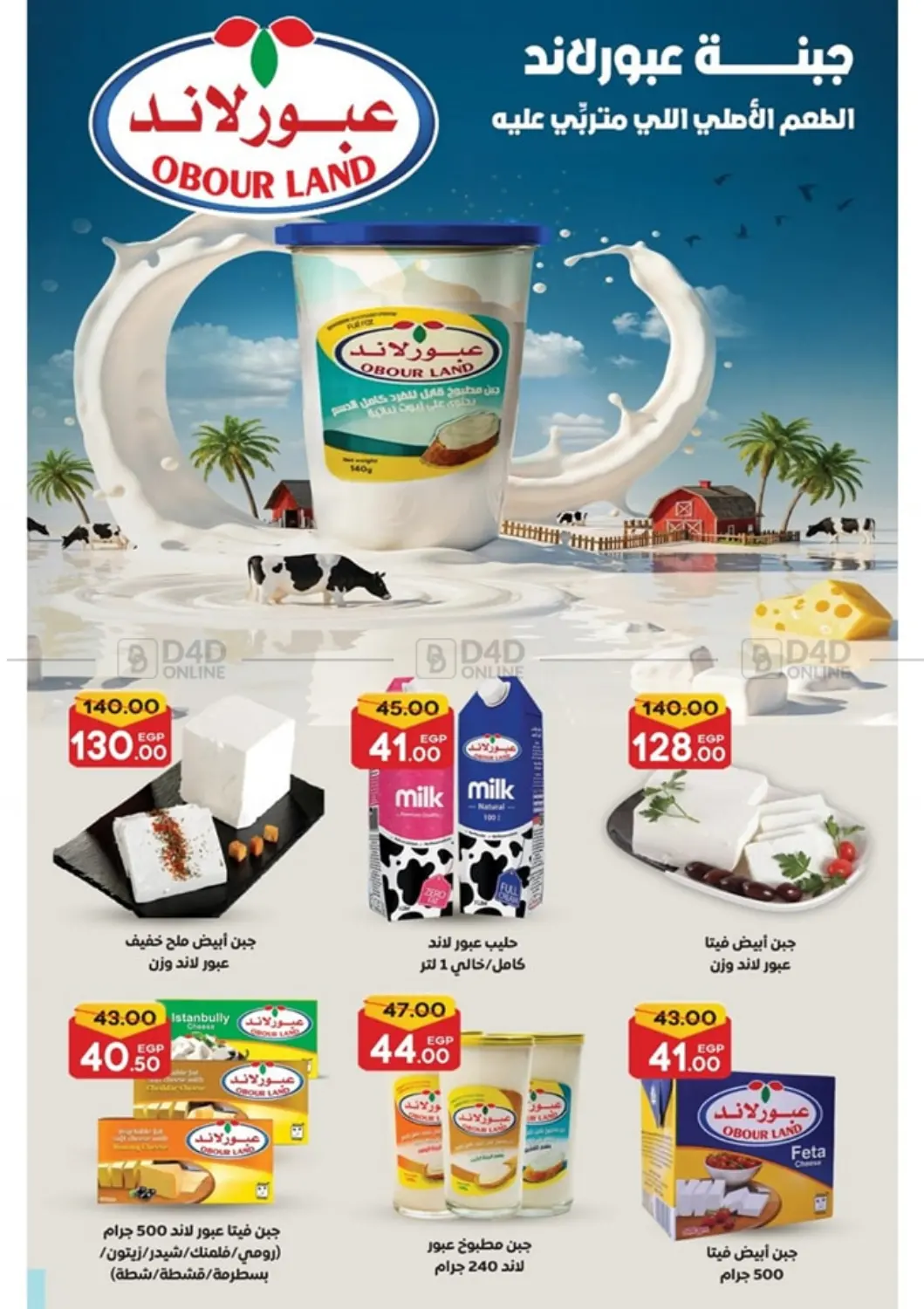 صفحة رقم 10 من Big Sale في جلهوم ماركت
