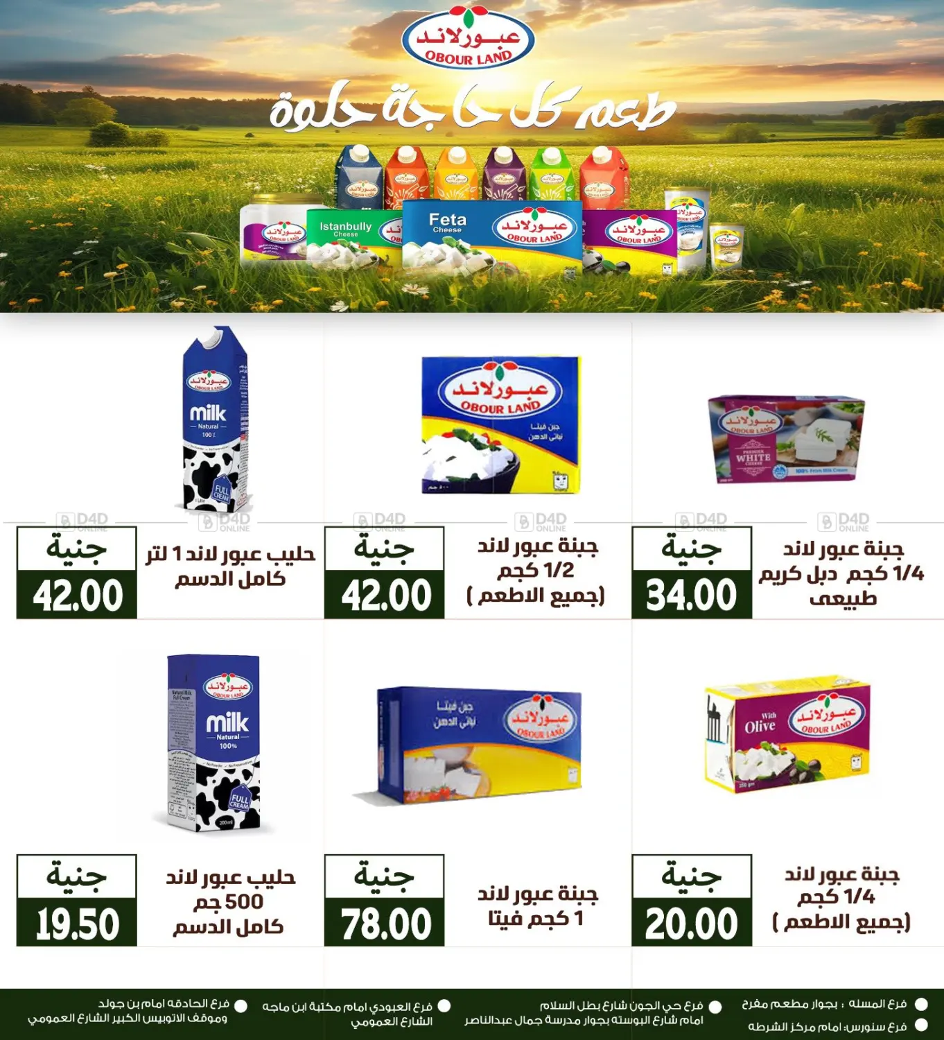 صفحة رقم 33 من Special Offer في سوق غلاب