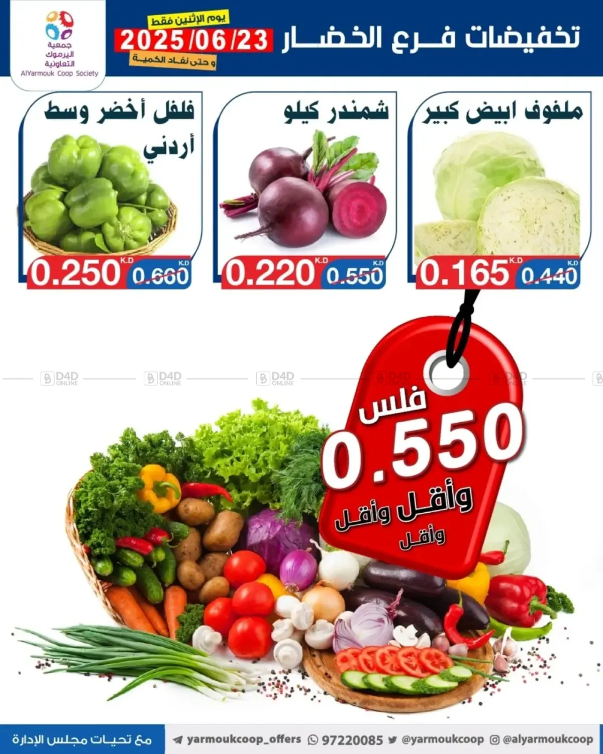 صفحة رقم 3 من Special Offer في جمعية اليرموك التعاونية