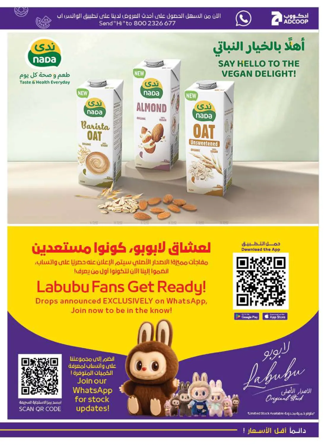 صفحة رقم 11 من Back To School في أدكووب
