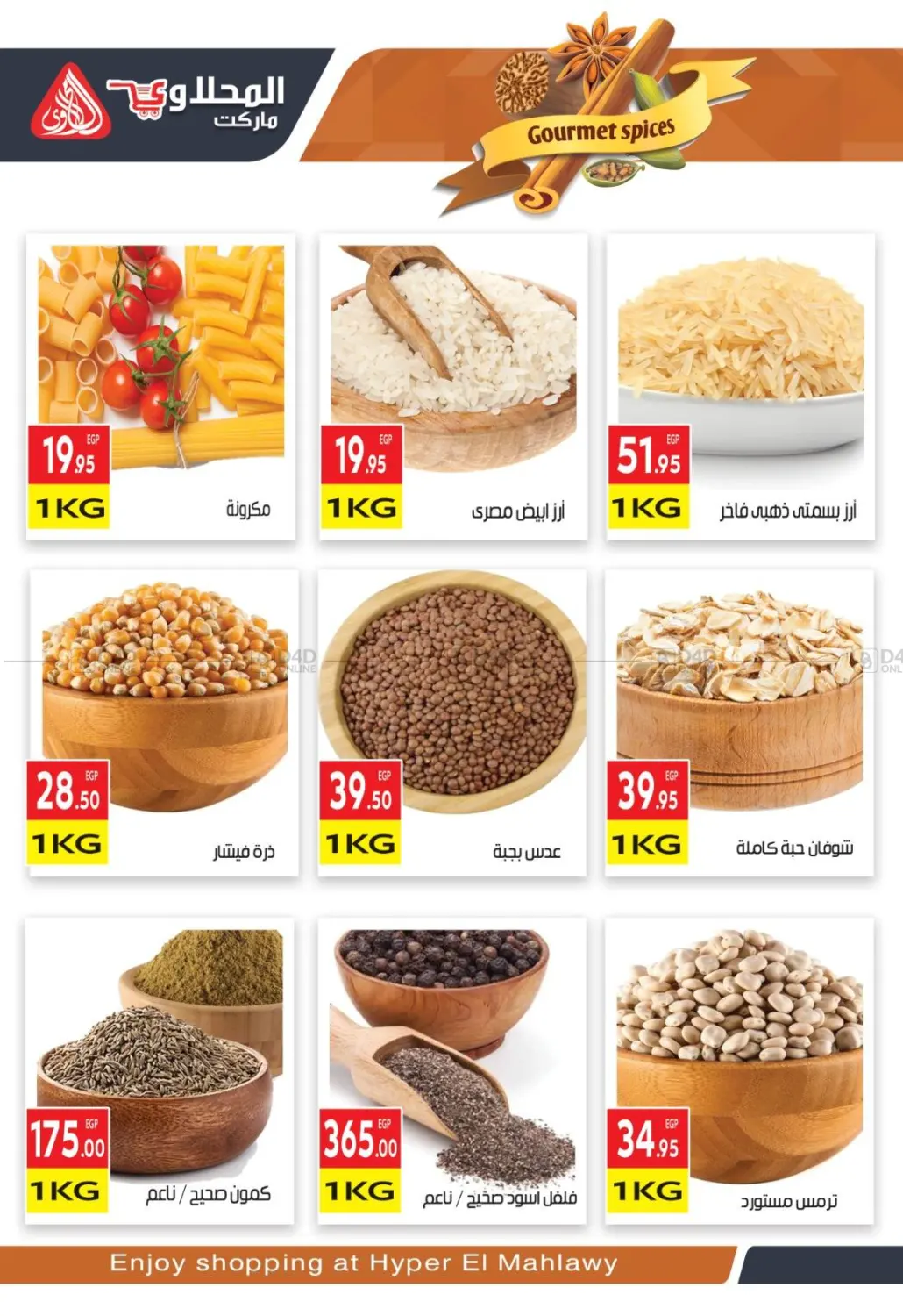 صفحة رقم 3 من Summer Sale في المحلاوي ماركت