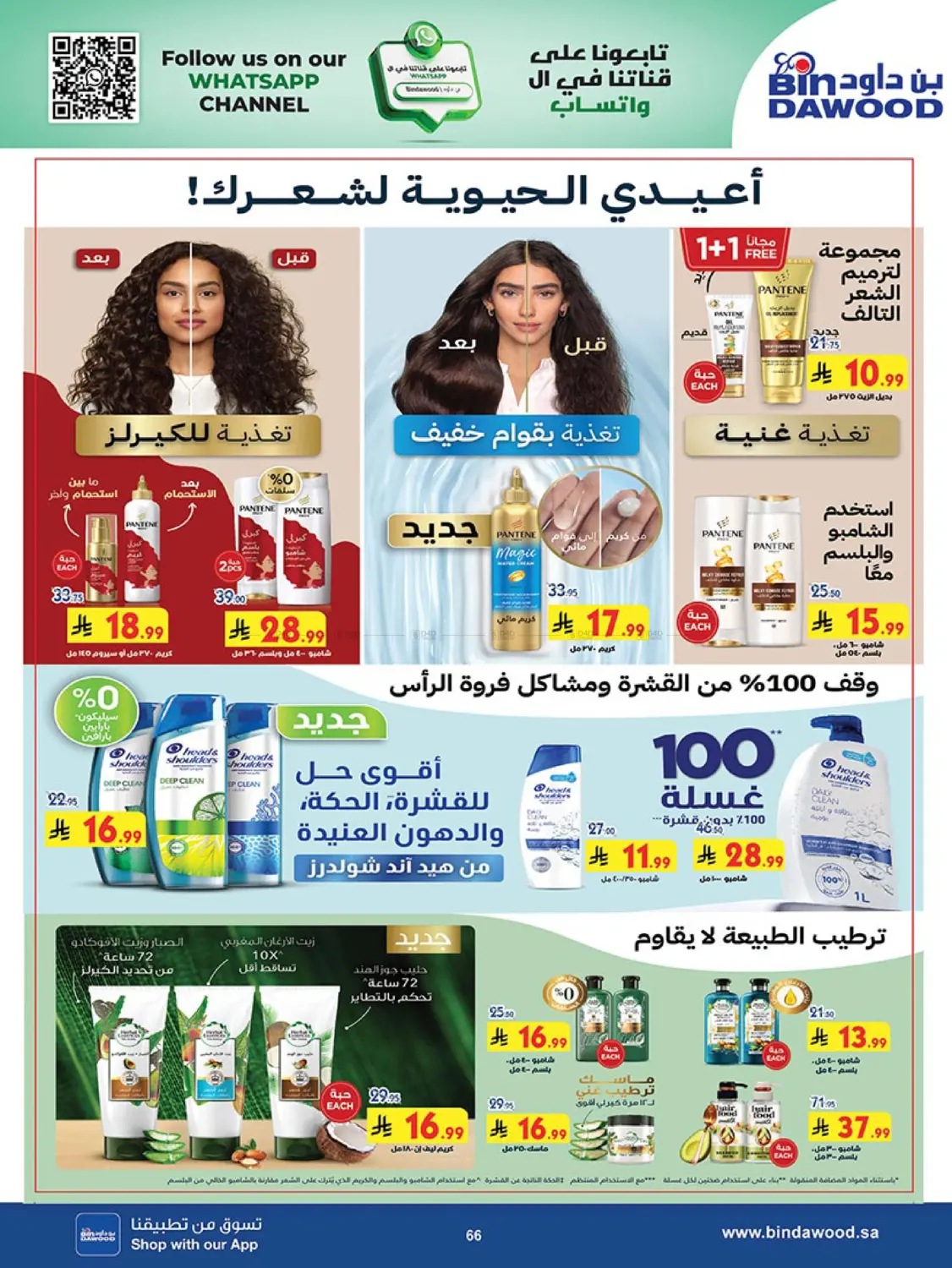 صفحة رقم 64 من Back to school في بن داود