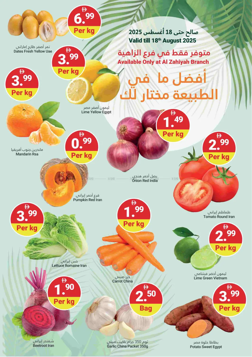 صفحة رقم 3 من Back To School في جراند الإمارات للتسوق