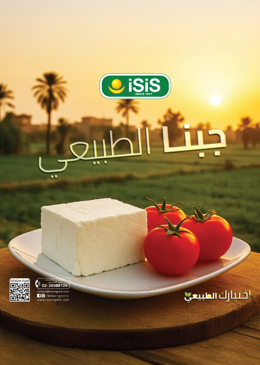 صفحة رقم 23 من Back To School في رويال هاوس