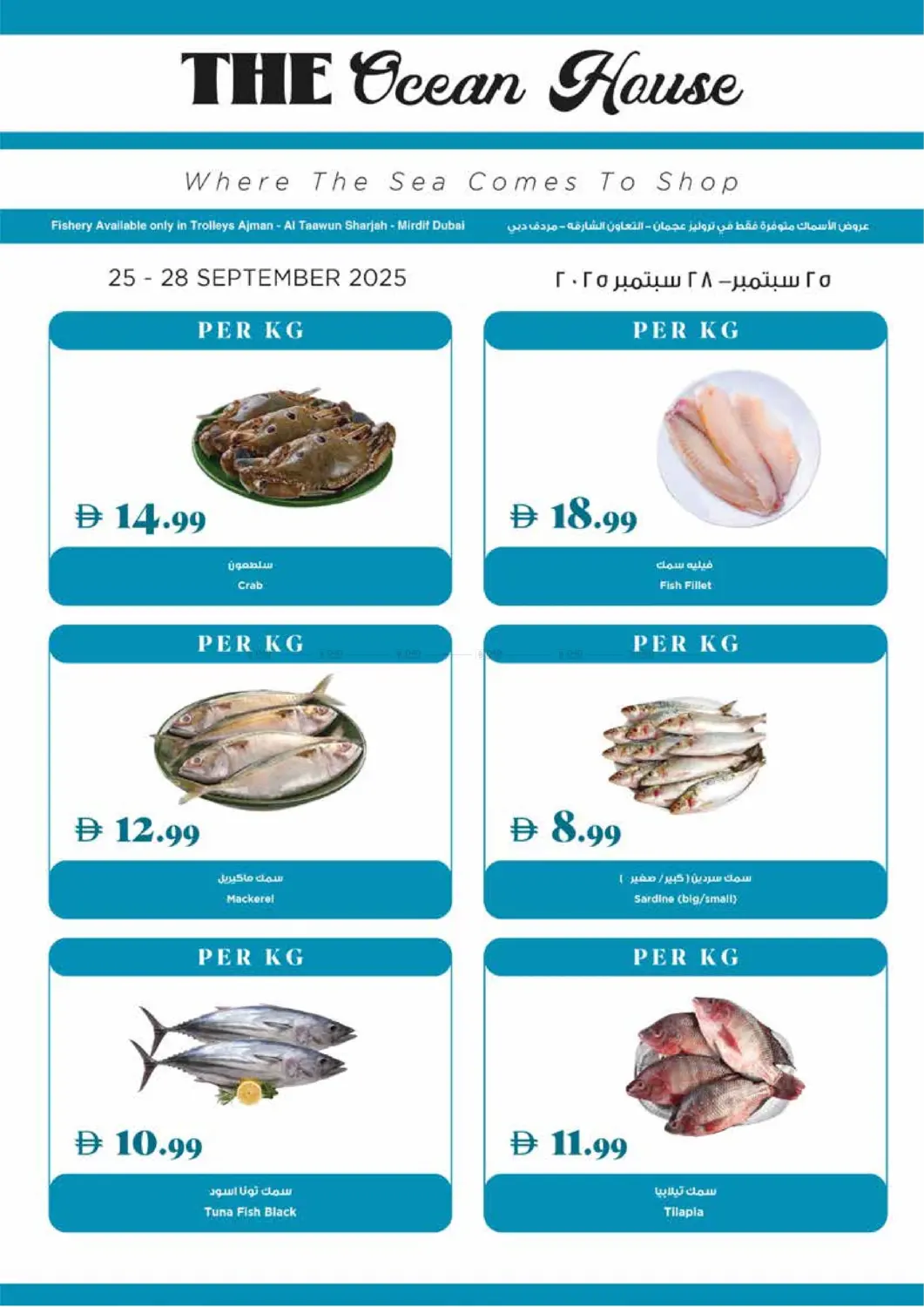 صفحة رقم 20 من عروض الخريف في تروليز سوبرماركت