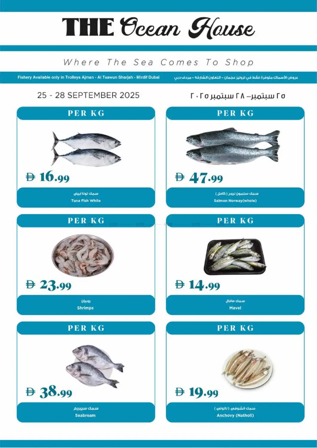 صفحة رقم 19 من عروض الخريف في تروليز سوبرماركت