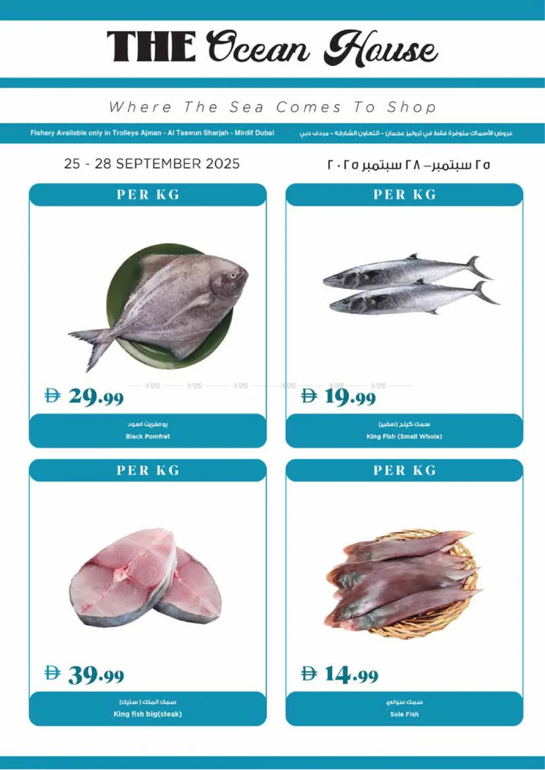 صفحة رقم 21 من عروض الخريف في تروليز سوبرماركت