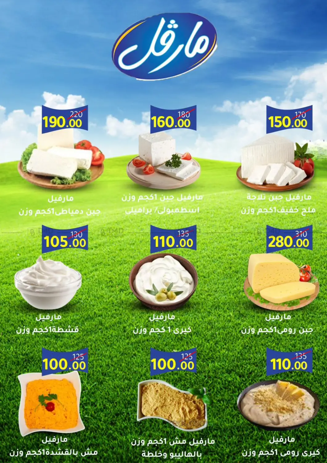 صفحة رقم 3 من Special Offer في وكالة المنصورة - الدقهلية‎
