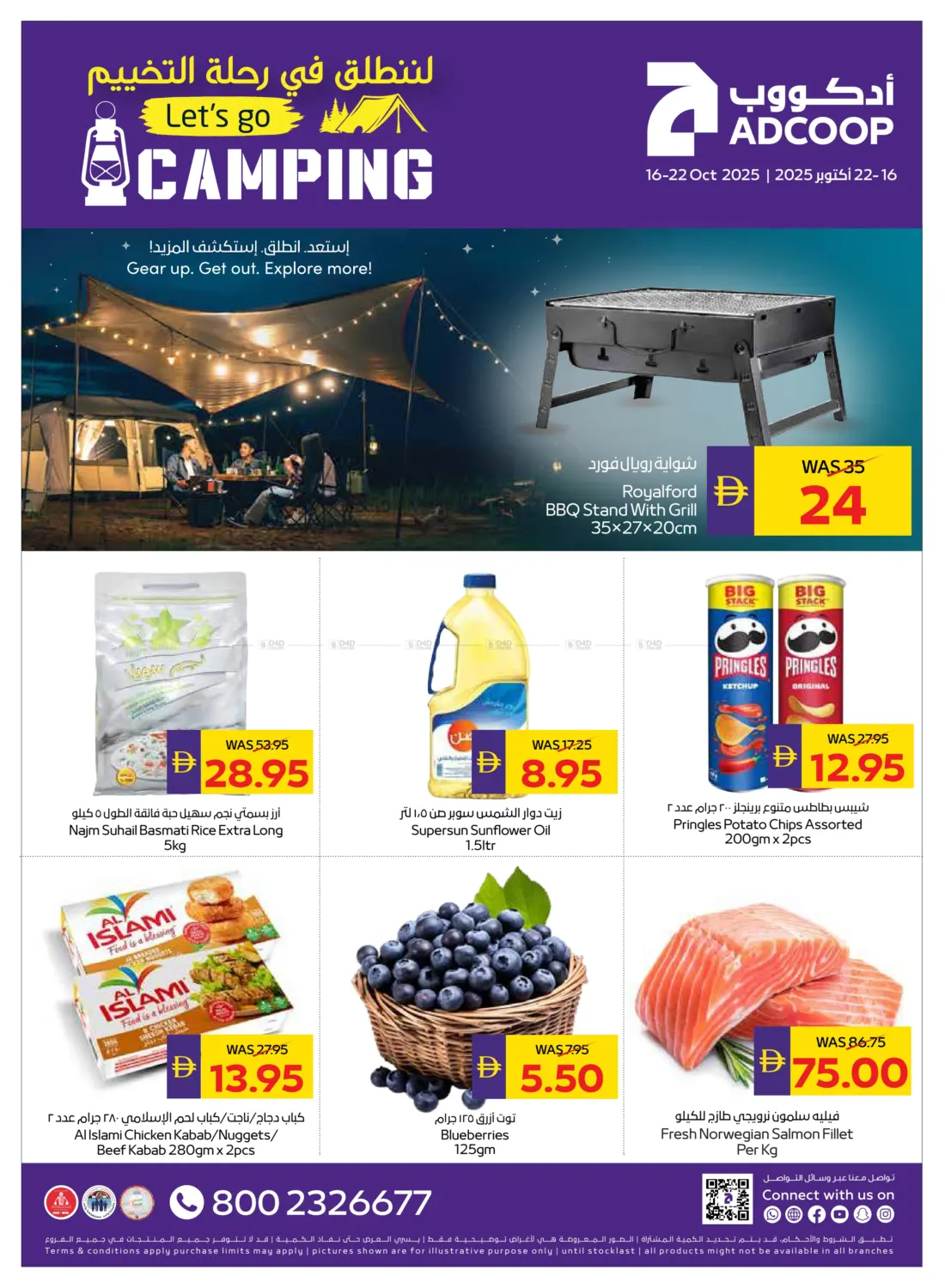 صفحة رقم 1 من Let's Go Camping في أدكووب