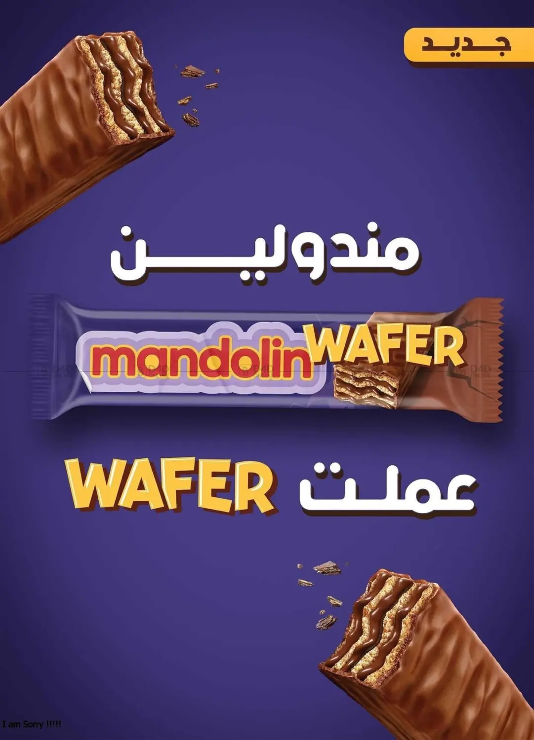 صفحة رقم 22 من Special Offer في الرايه ماركت