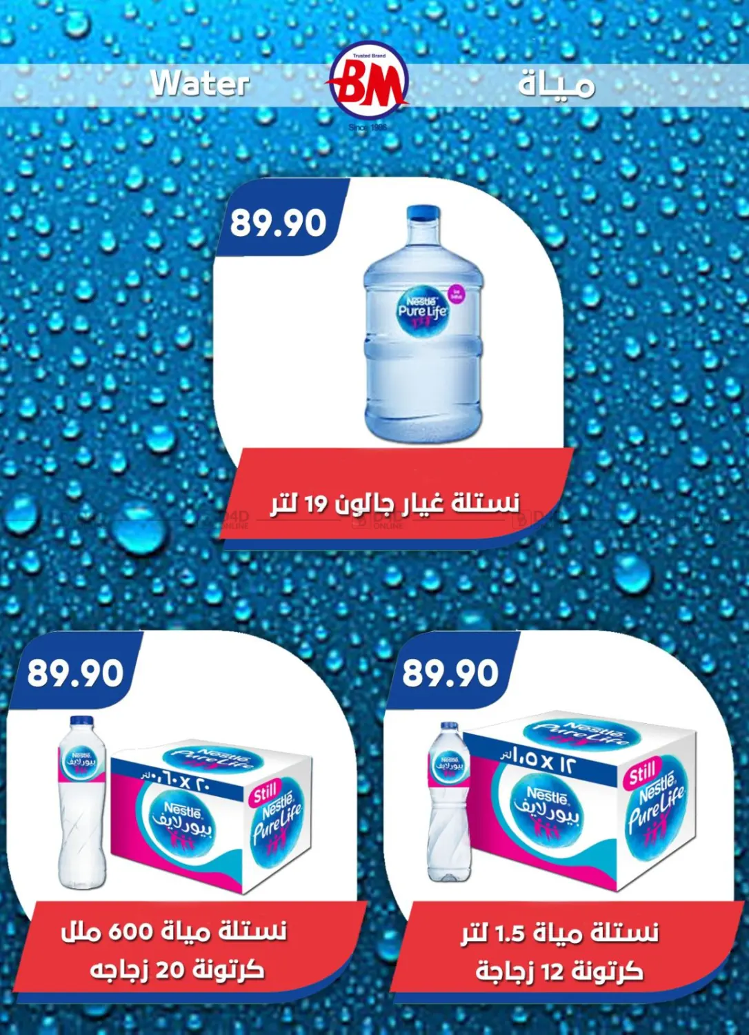 صفحة رقم 13 من Special Offer في باسم ماركت