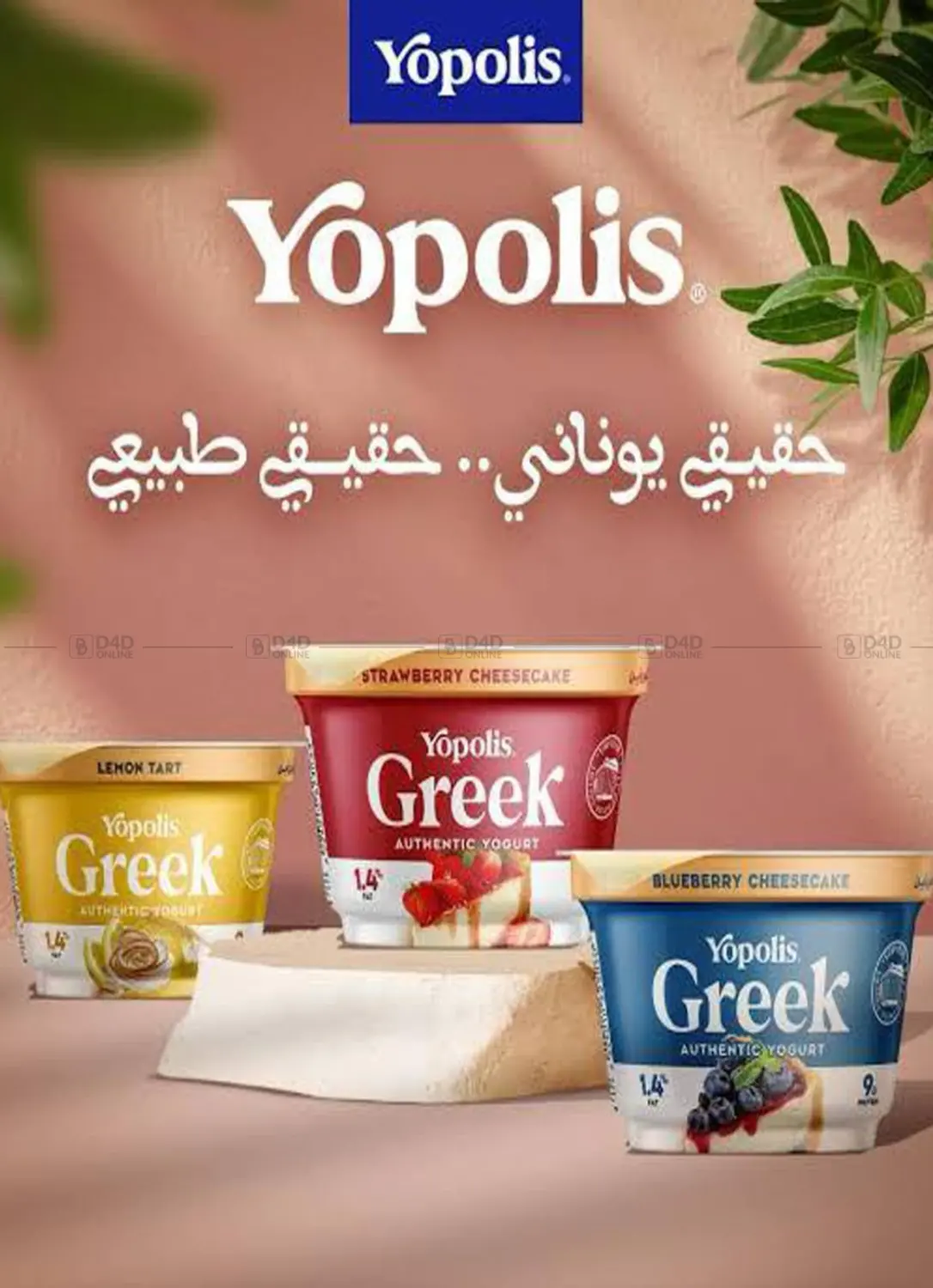 صفحة رقم 24 من Special Offer في باسم ماركت
