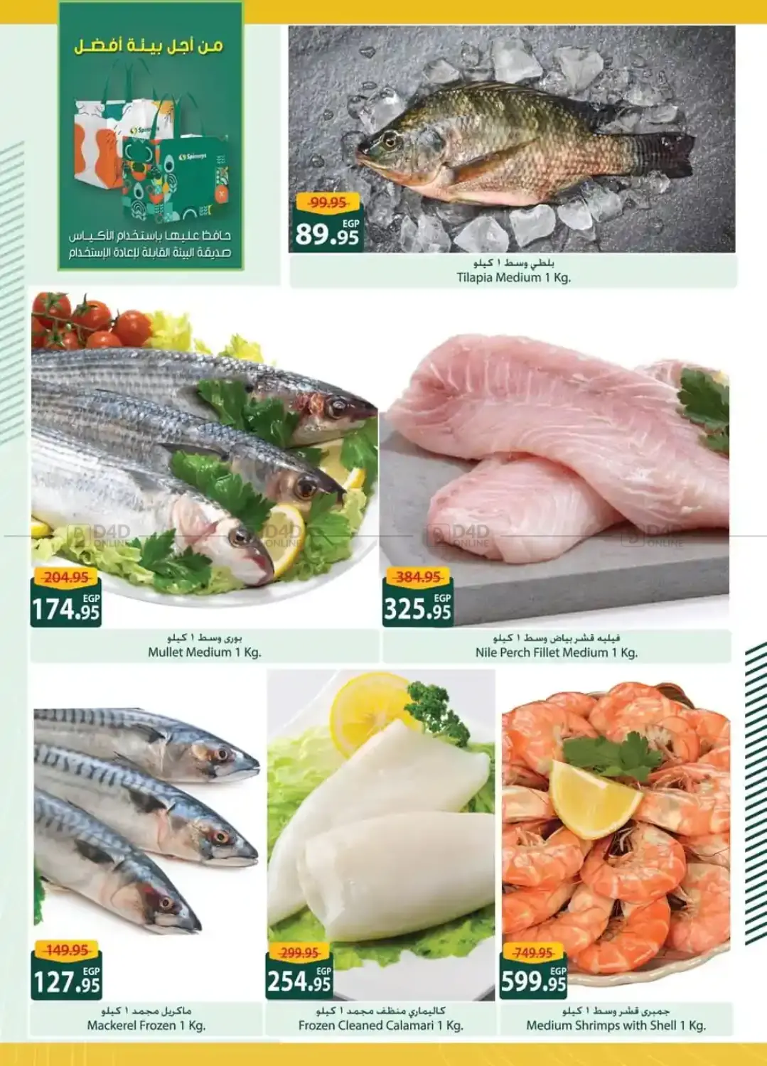 صفحة رقم 3 من Special Offer في سبينس