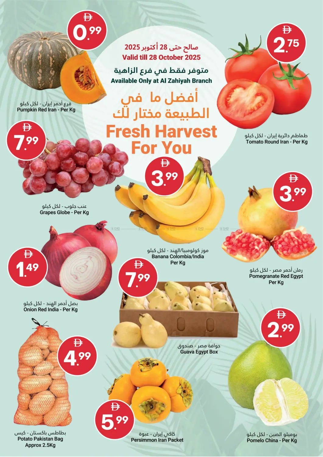 صفحة رقم 2 من Grand Savings في جراند الإمارات للتسوق