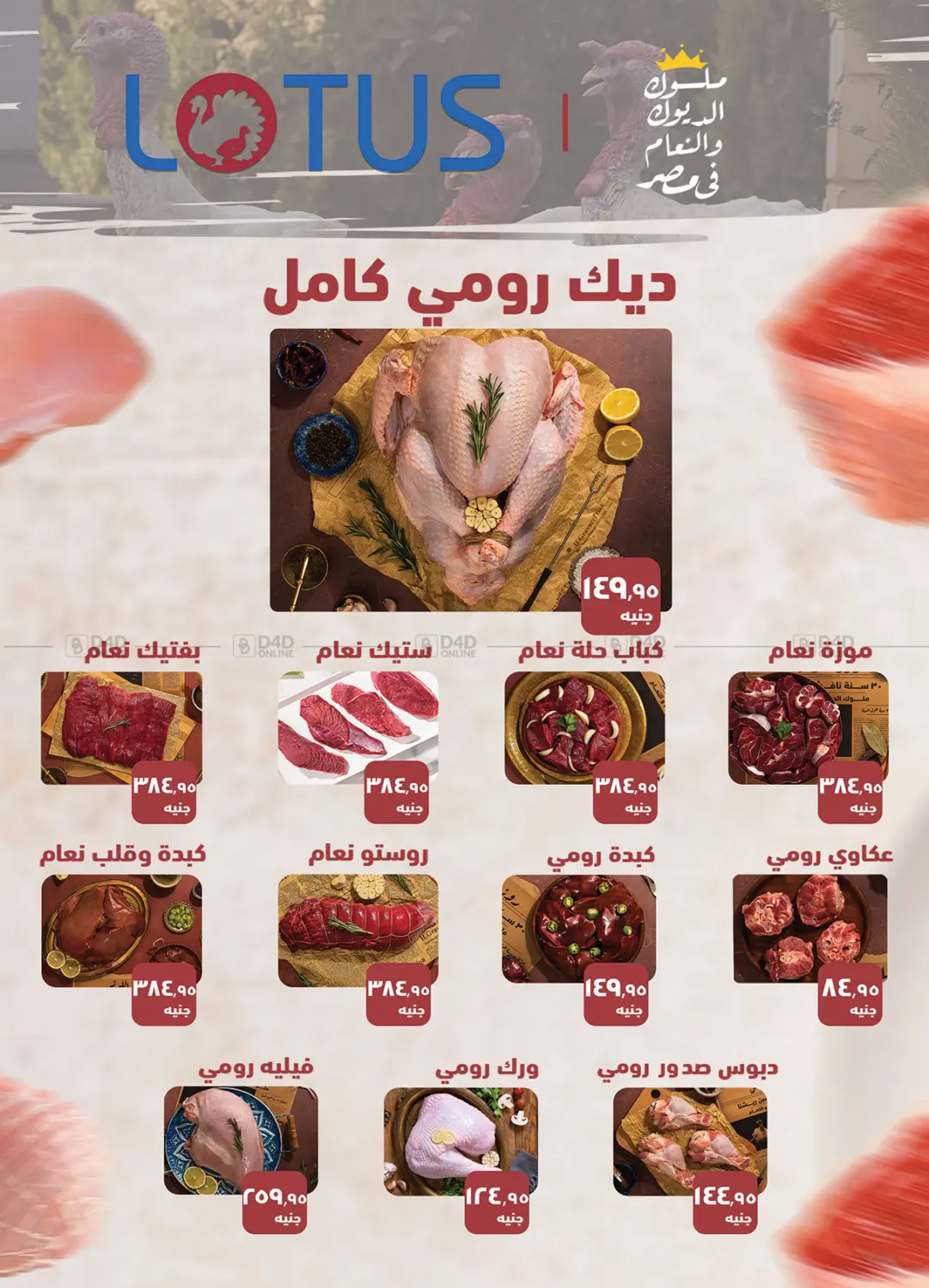 صفحة رقم 5 من Special Offer في الرايه ماركت