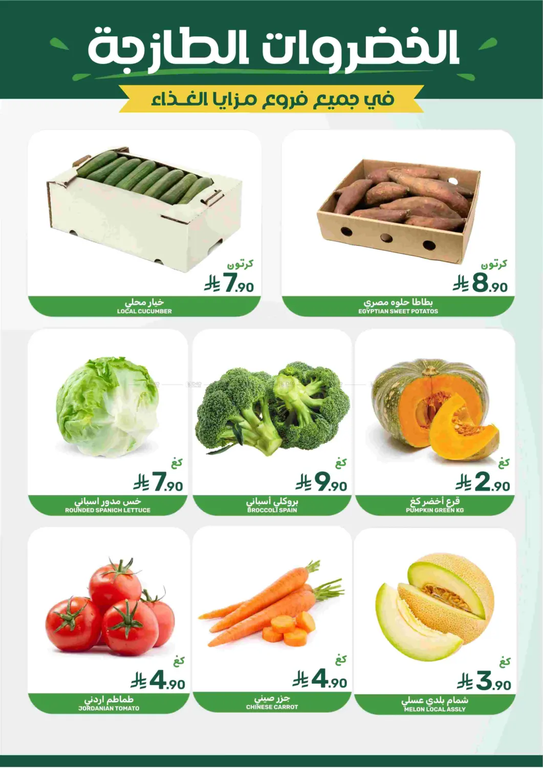 صفحة رقم 5 من Special Offer في مـزايــا