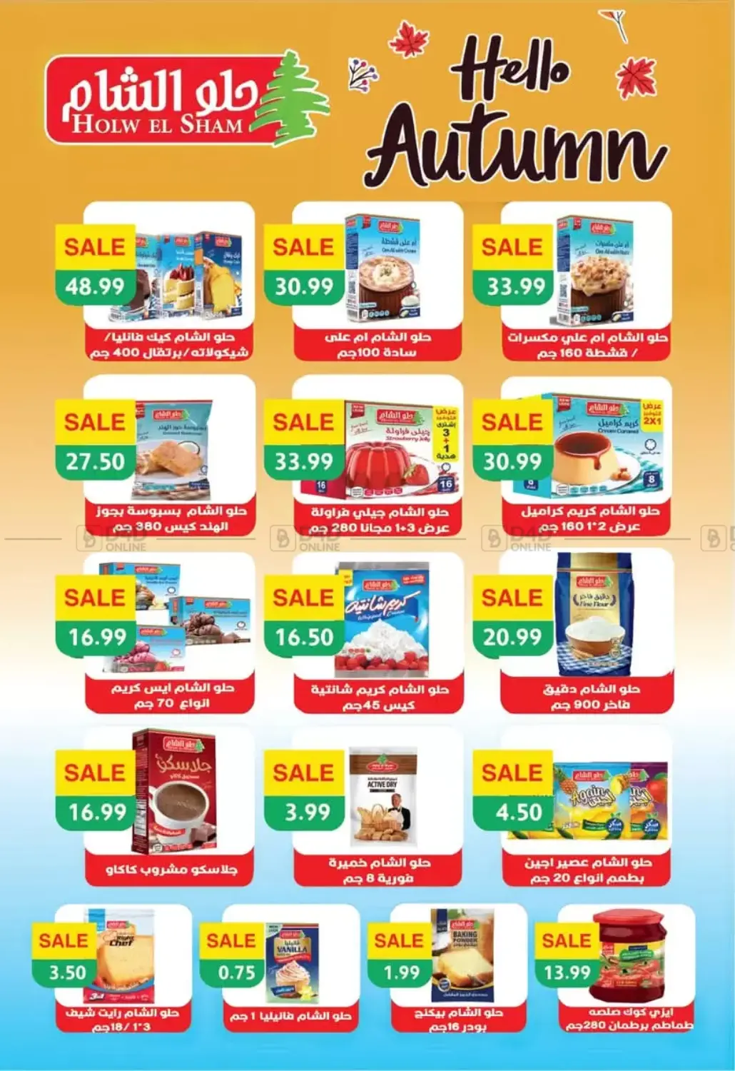 صفحة رقم 11 من Special Offer في يورومارشيه