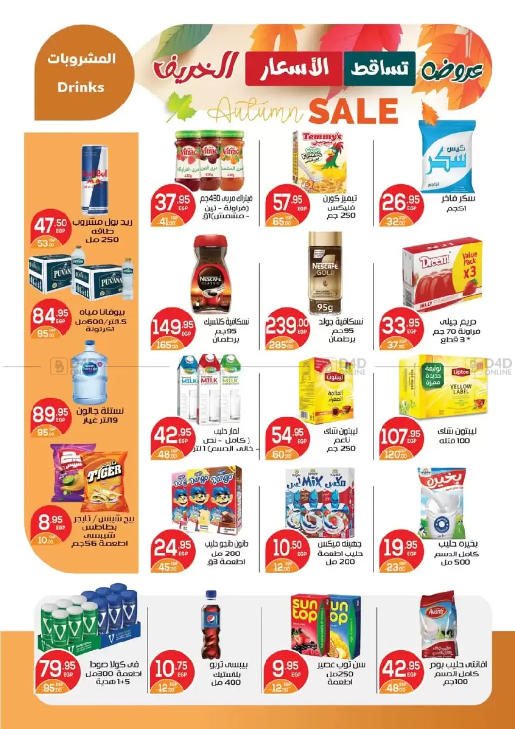 صفحة رقم 13 من Autumn في زاهر