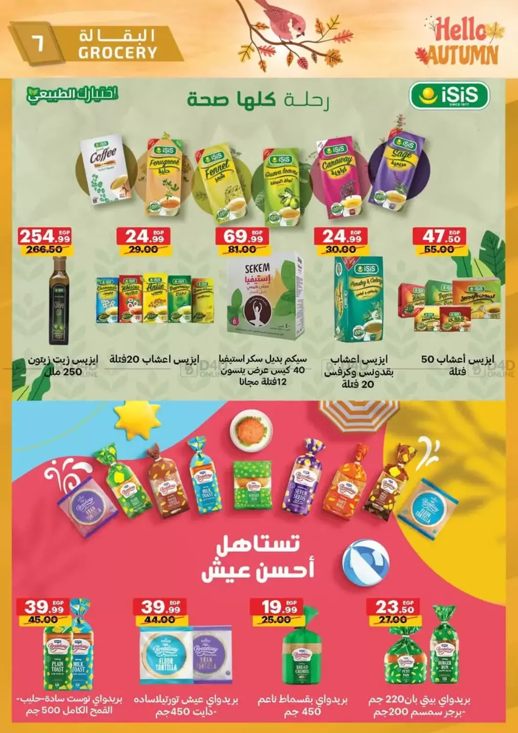 صفحة رقم 7 من Hello Autumn في الحبيب ماركت