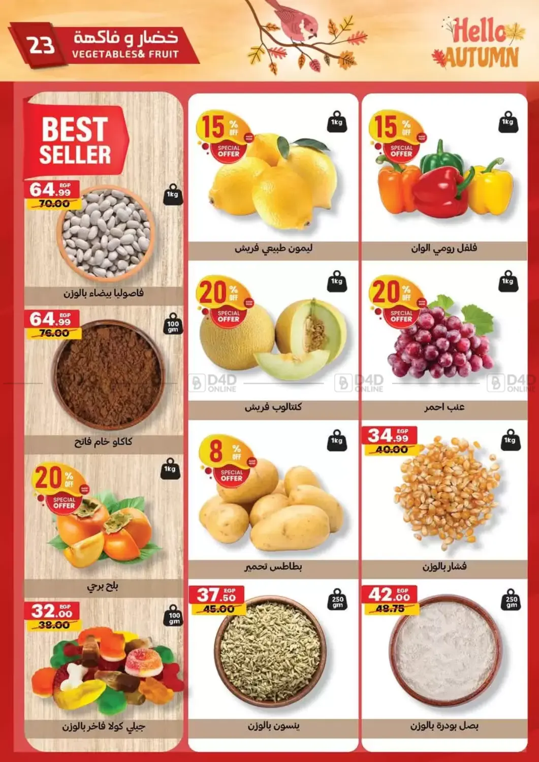 صفحة رقم 23 من Hello Autumn في الحبيب ماركت
