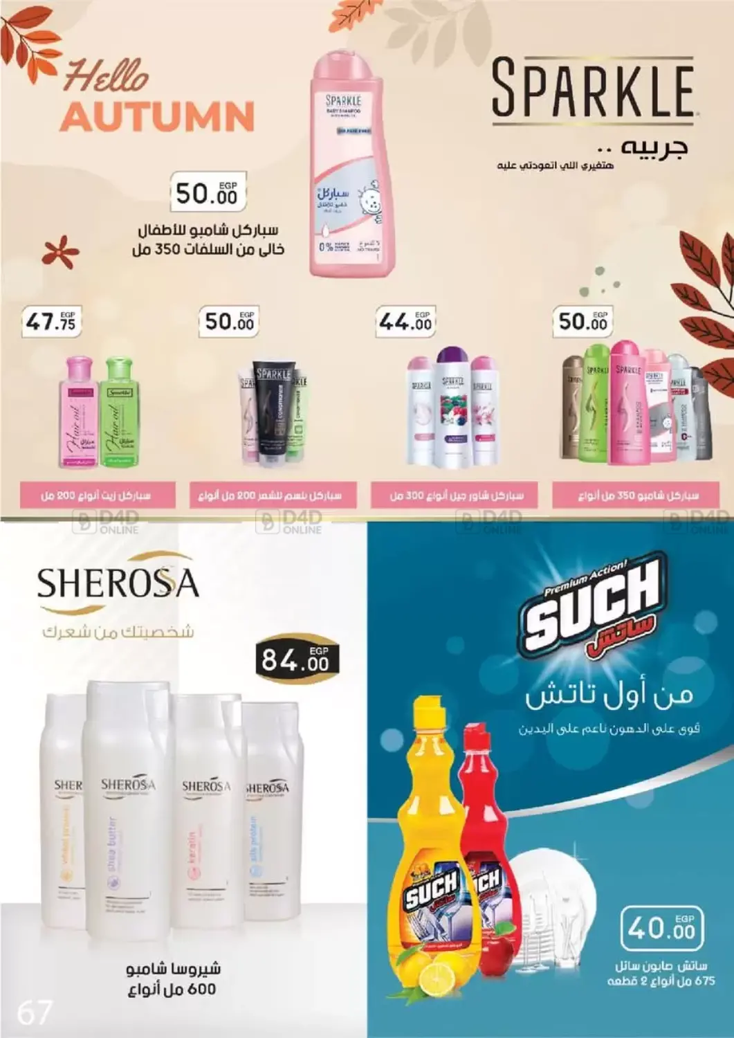 صفحة رقم 69 من Special Offer في عرفة ماركت