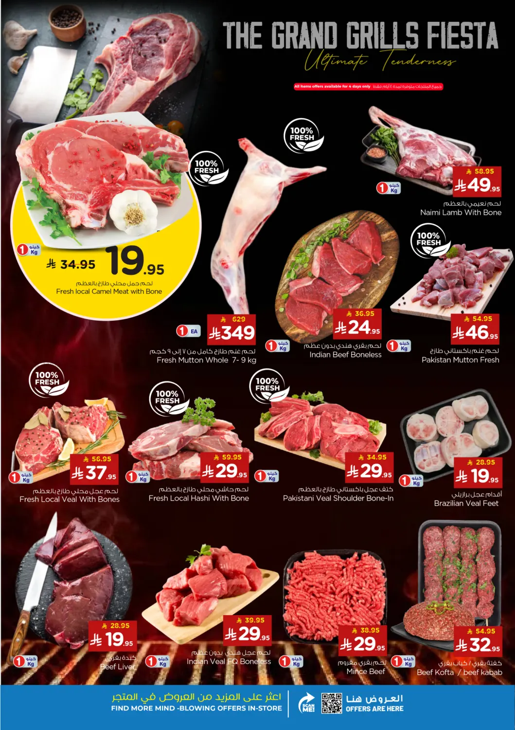 صفحة رقم 5 من جمال الشتاء في نستو