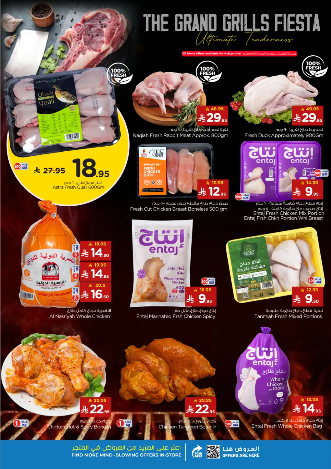 صفحة رقم 5 من جمال الشتاء في نستو