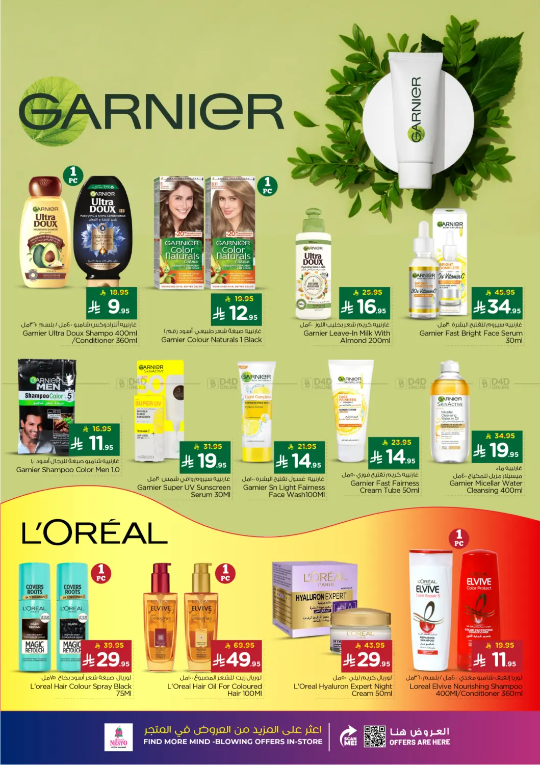 صفحة رقم 40 من جمال الشتاء في نستو