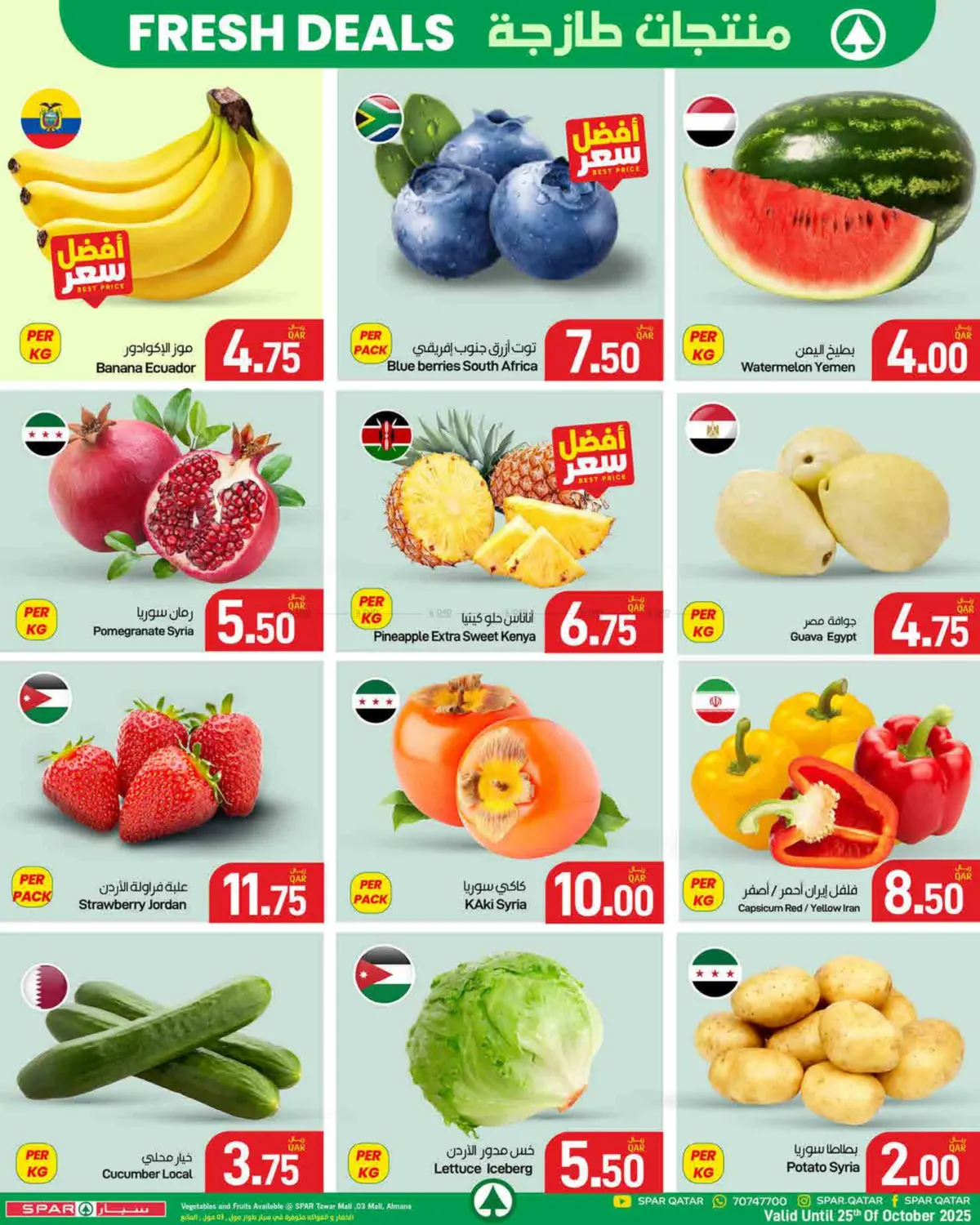 صفحة رقم 30 من عروض الجملة في ســبــار