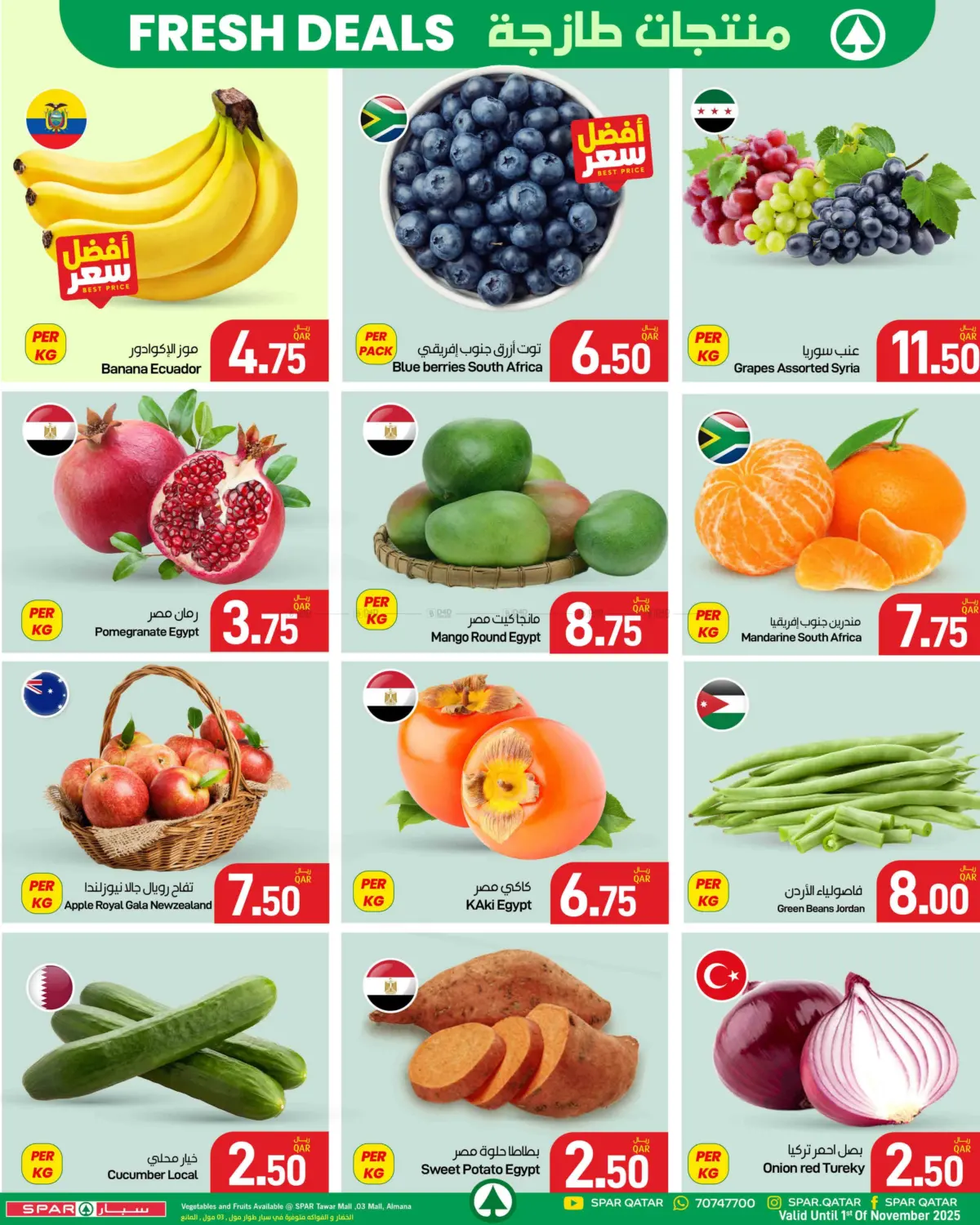 صفحة رقم 7 من عروض الجملة في ســبــار