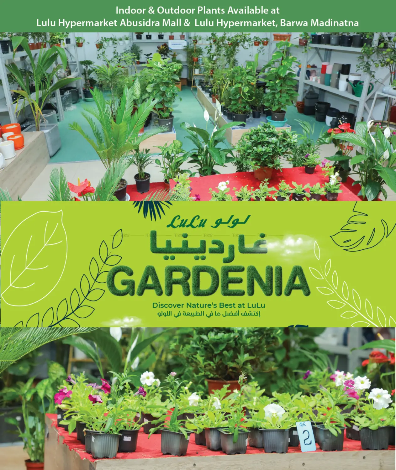 صفحة رقم 7 من Great Outdoors في لولو هايبرماركت