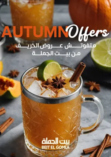 Autumn Offers من بيت الجملة