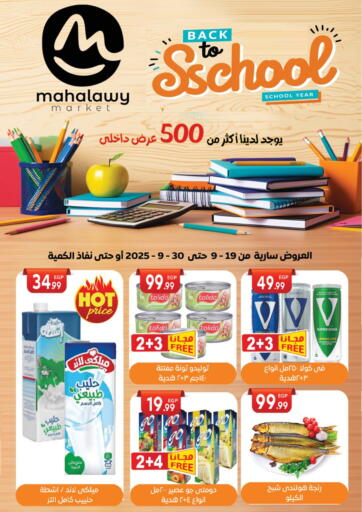 Back To School من أولاد المحاوى