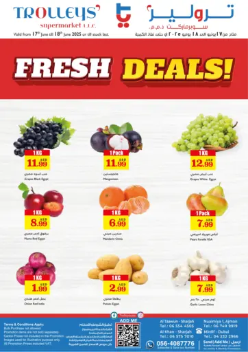 Fresh Deals من تروليز سوبرماركت