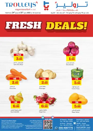 Fresh Deals من تروليز سوبرماركت