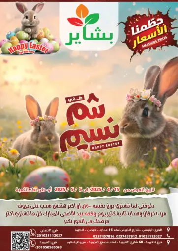 Special Offer من بشاير هايبرماركت
