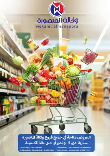 Special Offer من وكالة المنصورة - الدقهلية‎